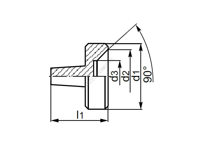 Rysunek techniczny: Końcówka wymienna do kła obrotowego 90 st. zewnętrzna duża: T.8852 MS2 - KOLNO